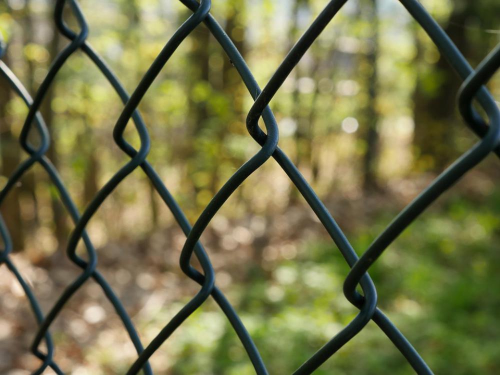 Pose de clôture Loiret Baumgarten Élagage