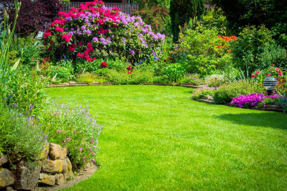 Clôture élégante jardin optimisé